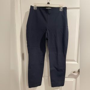 Everlane Navy Blue Ankle Side Zip Pants, Curvy